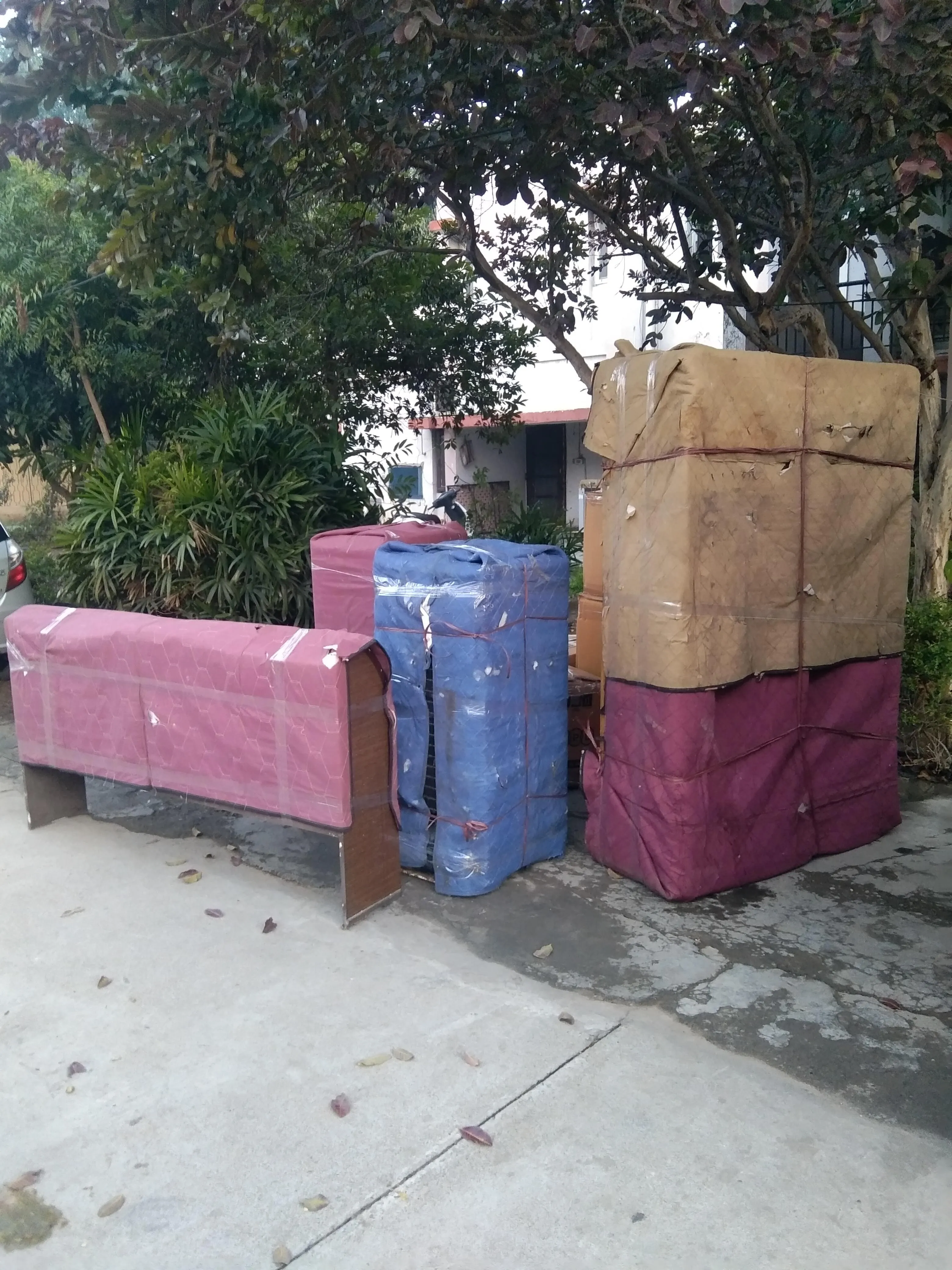 Professional Loading and Unloading Crew